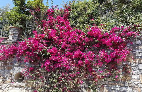 Ferienhaus in Vasia Imperia für bis zu 4 Personen - Foto 63