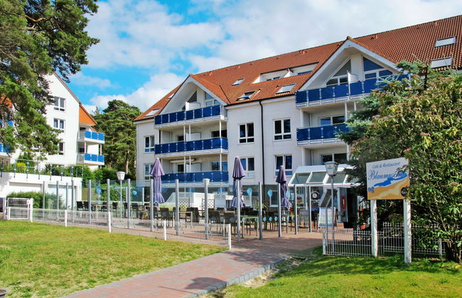 Blaumuschel (LUB108) - Foto 6