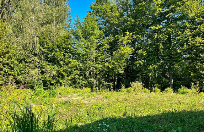 Sonnenteich-Haus - Foto 21