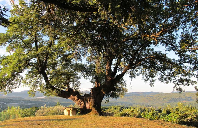 La Chesnaie - Foto 25