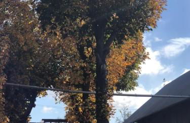 Ferienwohnung auf dem Bauernhof in Hachenburg Hof Kleeberg II - Foto 4