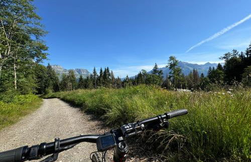 Le lodge de l alpage - Ski in ski out - 2 chambres 1 cabine - Foto 29