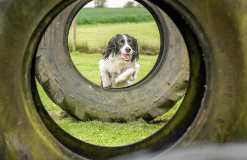 Morton of Pitmilly Countryside Resort - Foto 8