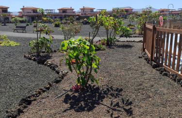 Villa Punta Calma - Foto 27