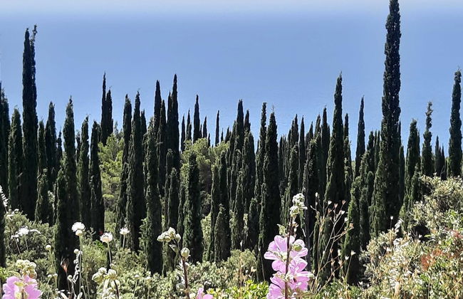 House Kocan - Foto 19