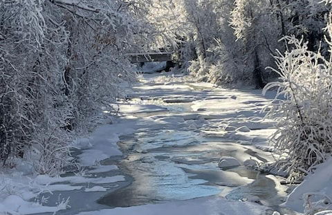 NEW 3bed 2bath With Creek and Open Spaces - Foto 16