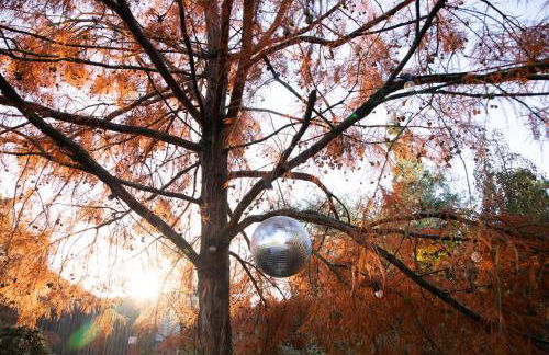 Cosy Mirrored House next to a Magical Swimming Lake - Foto 47