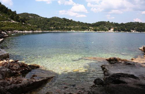 Apartments by the sea Sobra, Mljet - 7531 - Foto 6