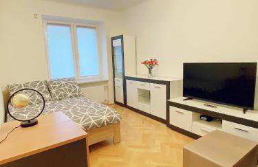 Apart WIKTORIA - Foto 17