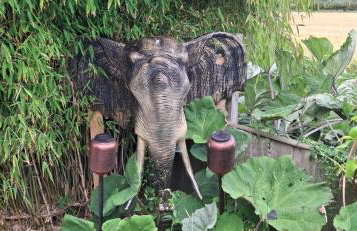 Caesars Lodge - Photo 24