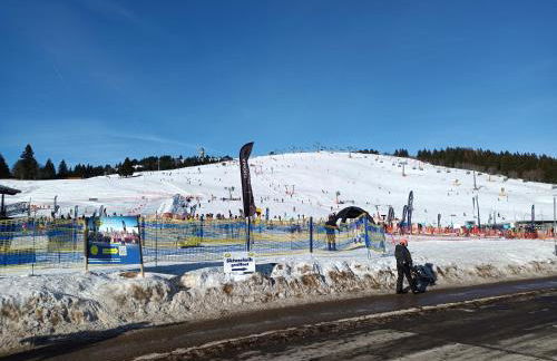 Haus Steiner - Ruhige, top bewertete Ferienwohnung in Lauterbach - Schwarzwald - Foto 49