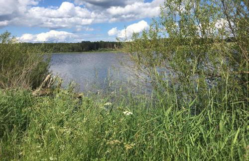 Ferienwohnung Panorama-Blick - Photo 19