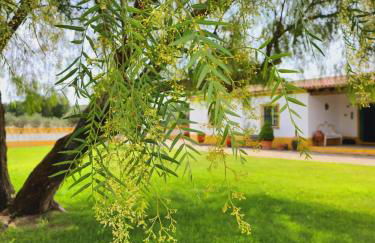 Montinho do Palanque - Foto 14