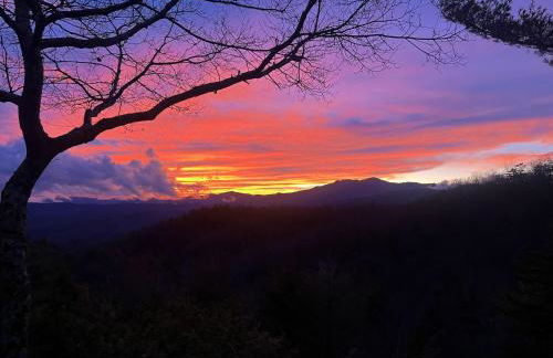 Angels Envy - Foto 56