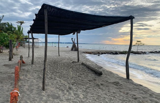 Las acacias Tolu - Foto 2