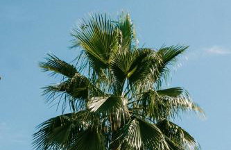 Casa Jilou - Foto 28