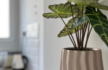 Aegina seaview home - Foto 32