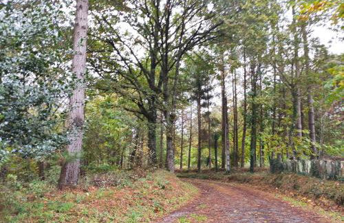 Casa Moucheiro - Foto 9