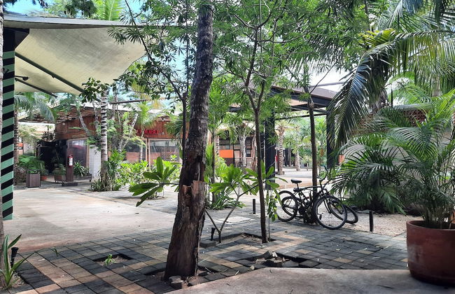 Departament & Pool and Parking Ariany - Foto 22