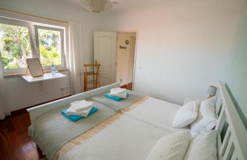 Sunny Soul - Foto 35