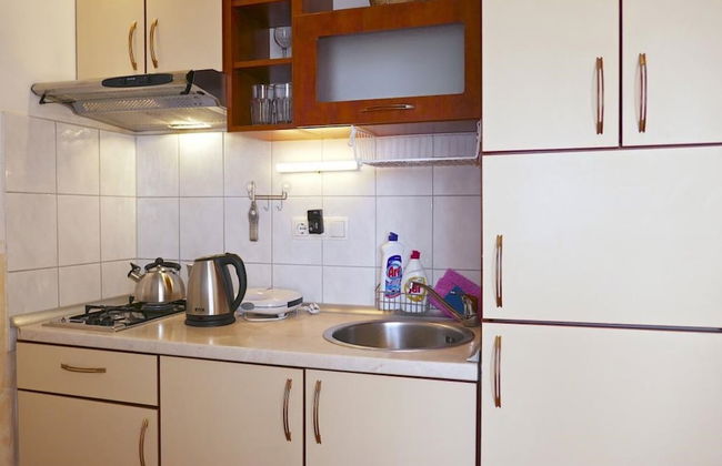 Dino - Gorgeous Garden - SA1 Zavala - Photo 4