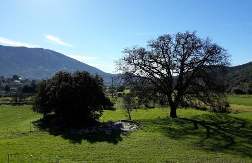 Mesoloras Valley View - Photo 7