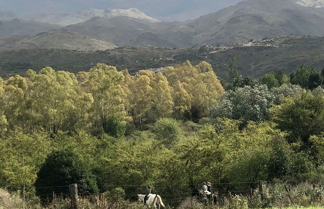 Estancia Grande - Foto 40