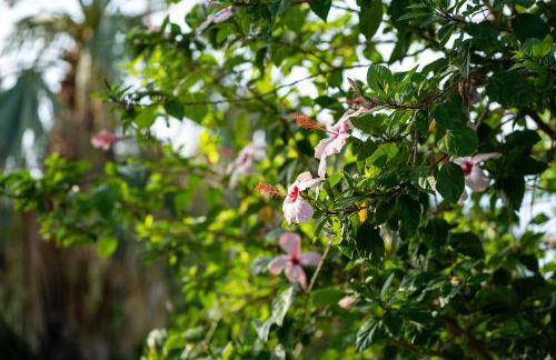 Agriturismo Pietre di Gelo - Foto 77