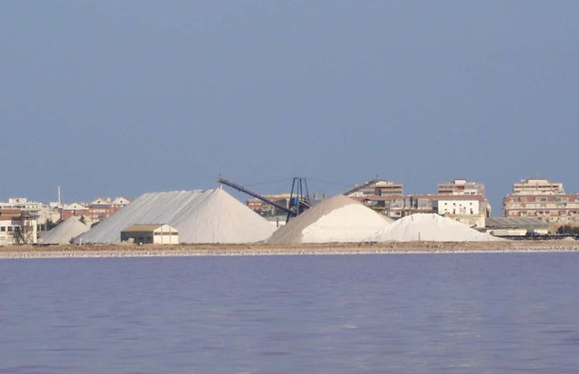 Visita guiada pelas salinas de Torrevieja - Foto 5