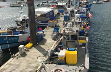 La maison de Gwen - Foto 36