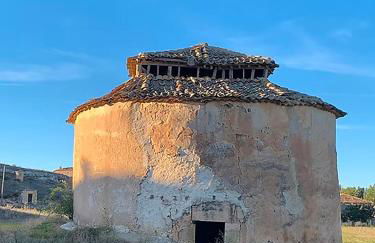 La Marcela - Foto 18