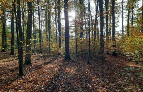 Ferienwohnung Schloss Fischbach - Foto 40