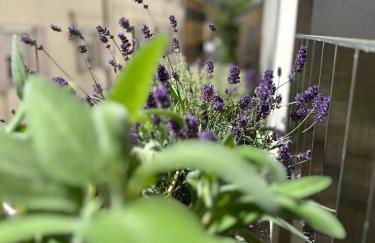 VILLAREJA - Private City Suite im Herzen der Bozner Altstadt - Foto 27