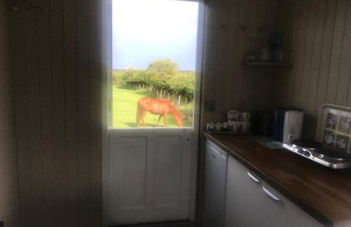 Peaceful Shepherd's Hut next to Horse Field - Foto 13