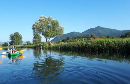 Apartments Tomas - Foto 25