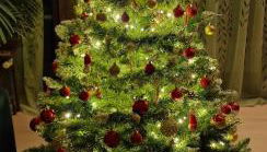 Ferienwohnung Schwarzer Kater - Foto 2