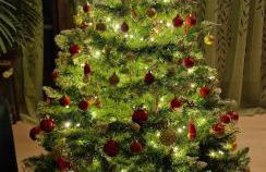 Ferienwohnung Schwarzer Kater - Foto 2