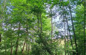 Biały Domek Nielbark - Agroturystyka - Foto 51