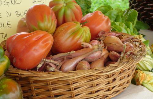 Agriturismo la Sforzata - Photo 16