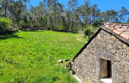 Casa Pandeiras - Foto 7