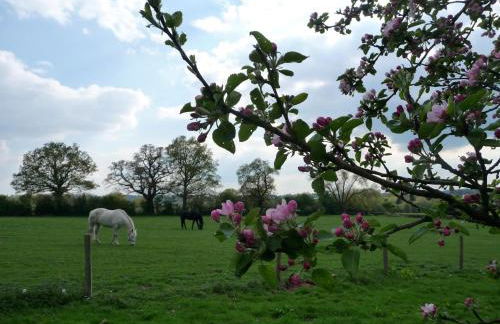 Herdsman's Hideaway - Foto 10