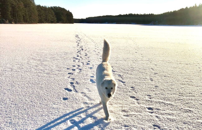 Matilda Villas - Foto 10