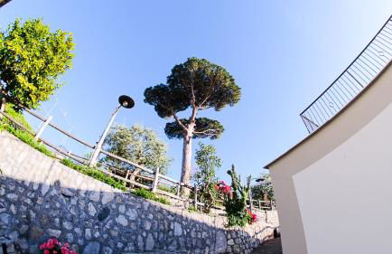 L'antica Pigna Chateau - Foto 76