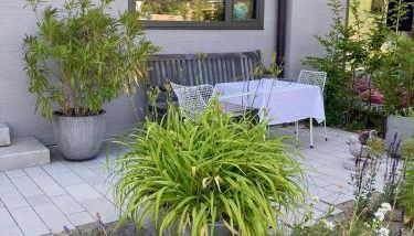 dashaus026 - Foto 5, Garden