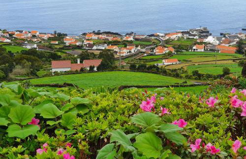 Terra`s Place - Photo 25