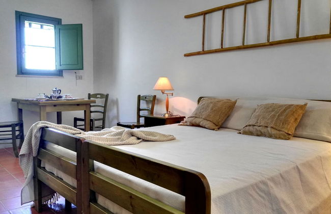 Azienda Agricola Francesca Stajano - Foto 6