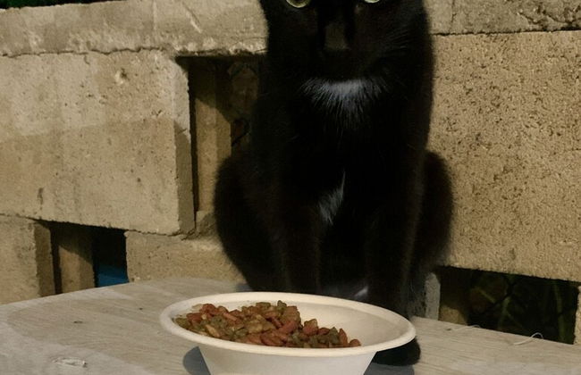 S3 BP Steps to Beach - Photo 35