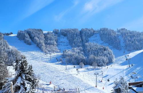 STUDIO plein sud "Les Arolles" Balcon de VILLARD DE LANS - Foto 21