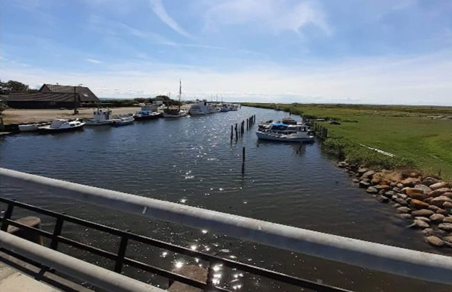 Seaside Serenity in Faldsled-by Traum - Foto 23