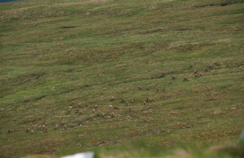 The Little Houses - Foto 16